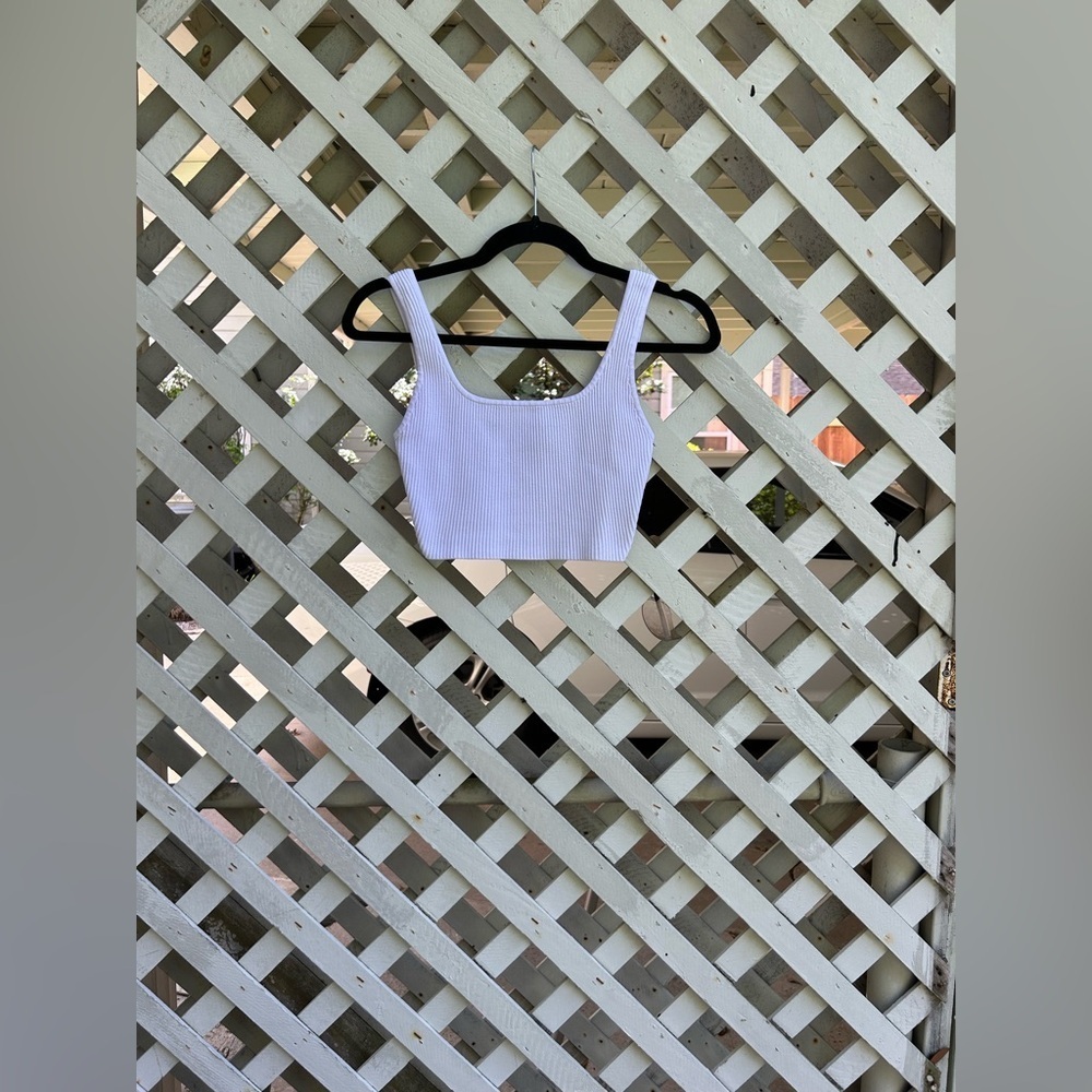 ❤️Aritzia Babaton sculpt knit cropped top
